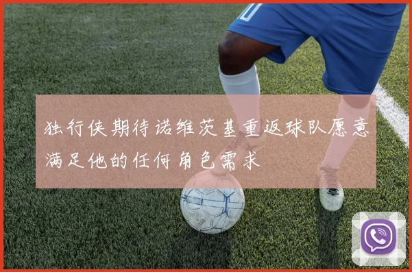 独行侠期待诺维茨基重返球队愿意满足他的任何角色需求